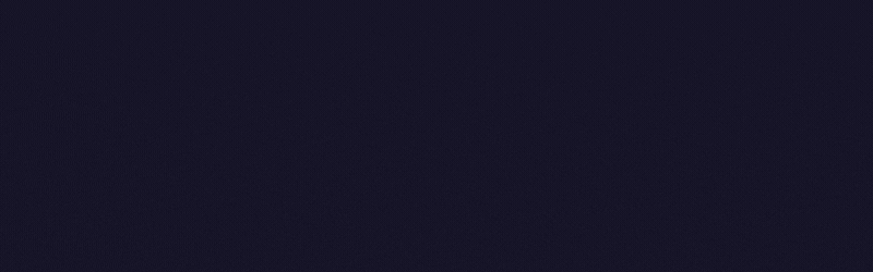 spécialiste wordpress